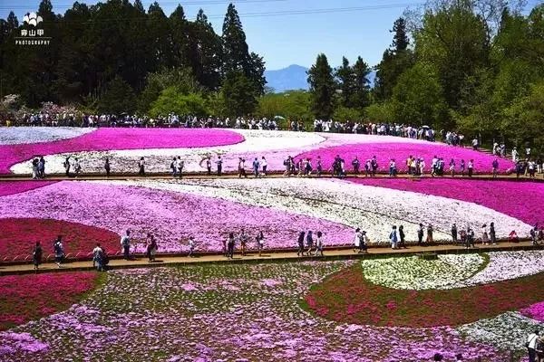 坦桑尼亚最值得去的地方,海外之旅坦桑尼亚