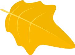 小学体育见习日志,学前教育见习日志