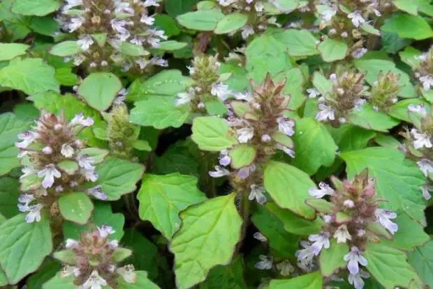 南阳人还去什么医院?你脚底下就是药房!