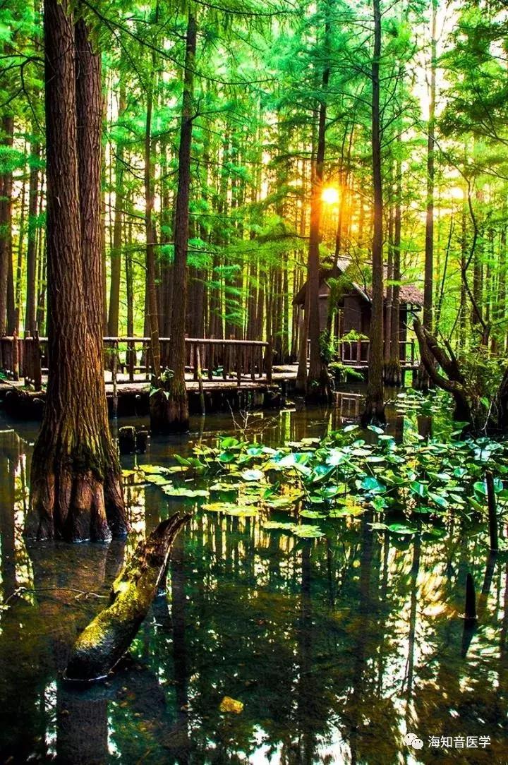 醉美中国——江苏