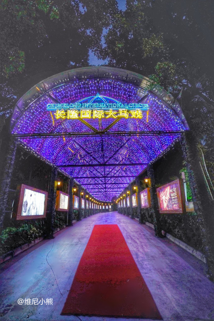 暑假珠海长隆最全游玩攻略,珠海长隆海洋王国暑假门票多少钱