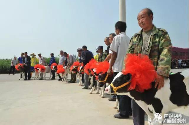 画说新闻,画说新闻完整版