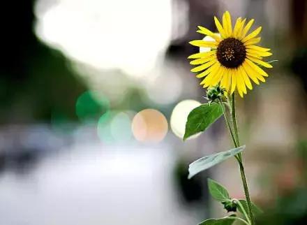 句句戳心的伤感说说短句,适合发的忧伤说说