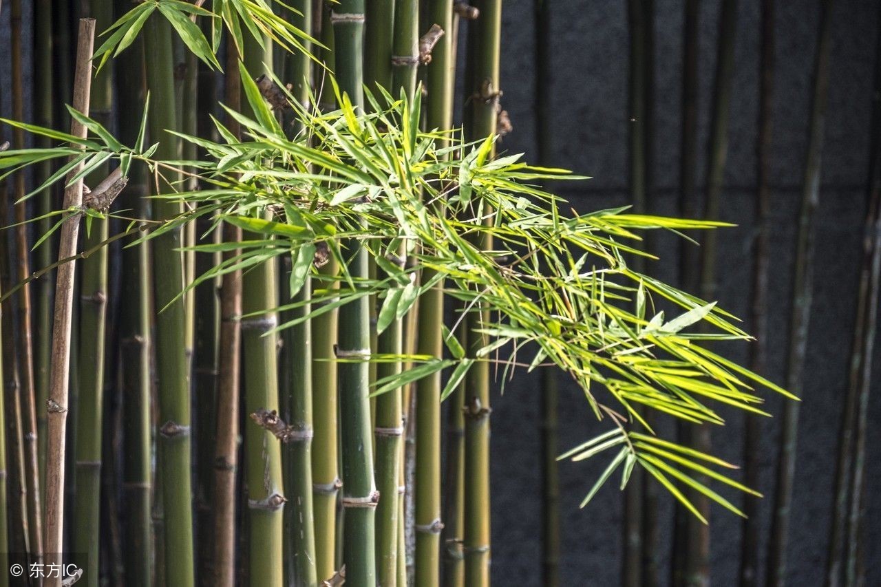 致自己奋斗的励志句子经典有志气,送给正在努力奋斗的你的励志句子