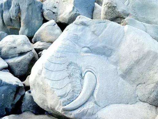 韩国济州岛是一座典型的火山岛,世界有名的火山岛