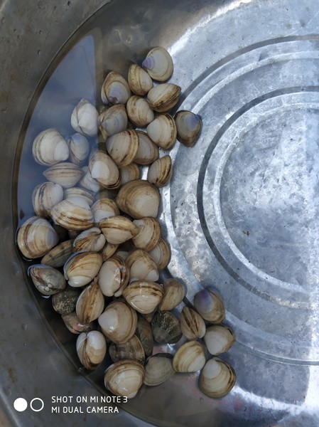 嵊泗离岛游玩攻略 (嵊泗列岛三天两夜旅游攻略)