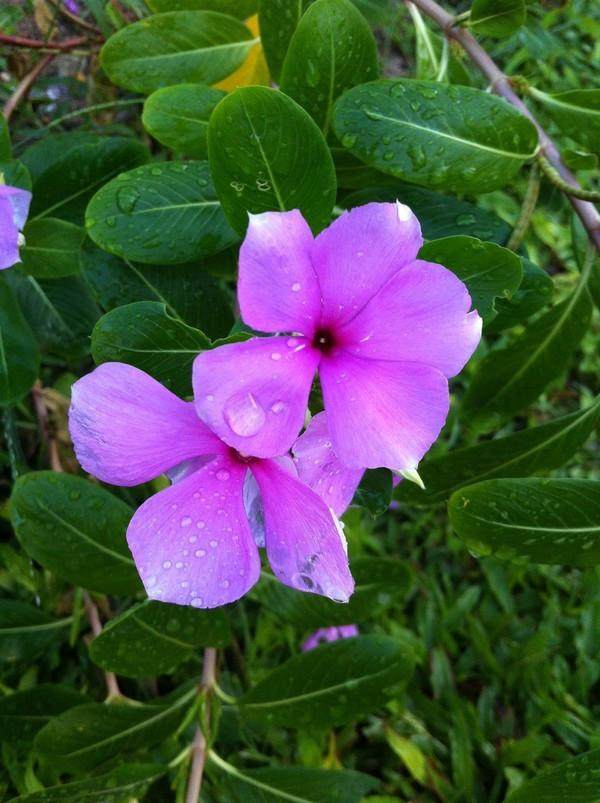 三亚三日游带孩子攻略,三姐妹游三亚