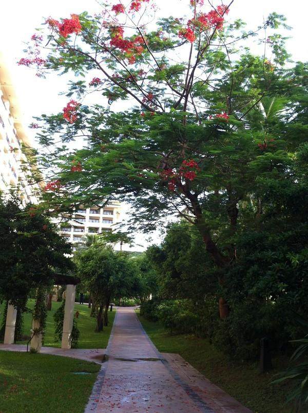 三亚三日游带孩子攻略,三姐妹游三亚