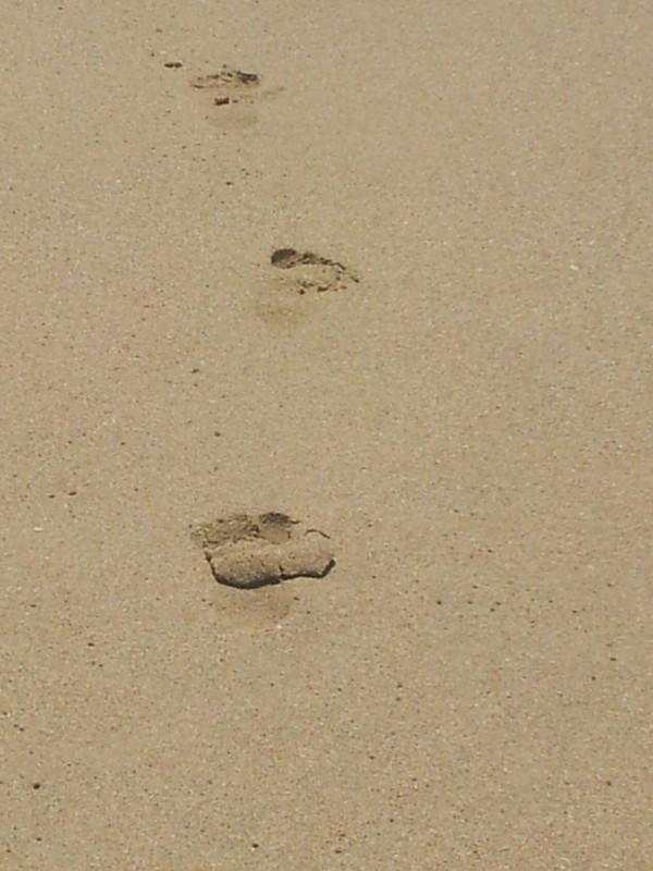 三亚三日游带孩子攻略,三姐妹游三亚