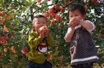 遂宁文化介绍,遂宁的人文历史