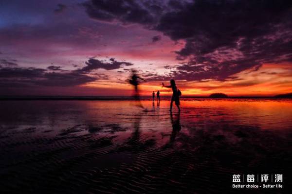 蓝莓评测美国蓝莓,蓝莓评测