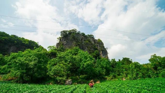 哪座山被选入2020中国避暑名山,避暑胜地天然大空调