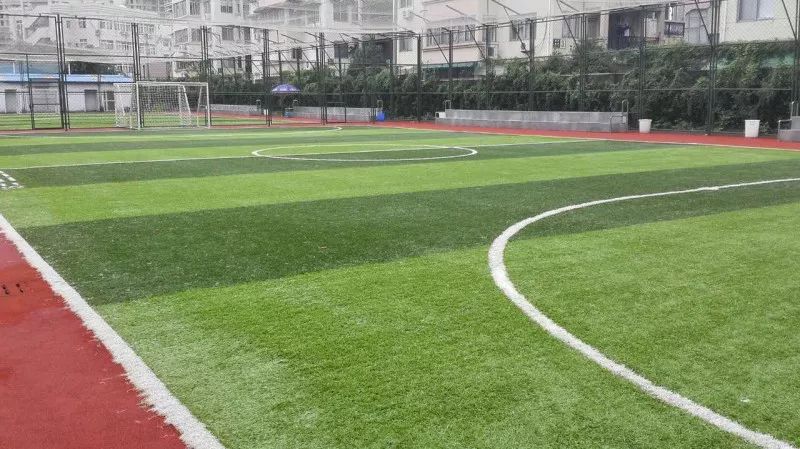 温州体育中心体育馆对外开放,温州有免费的体育公园