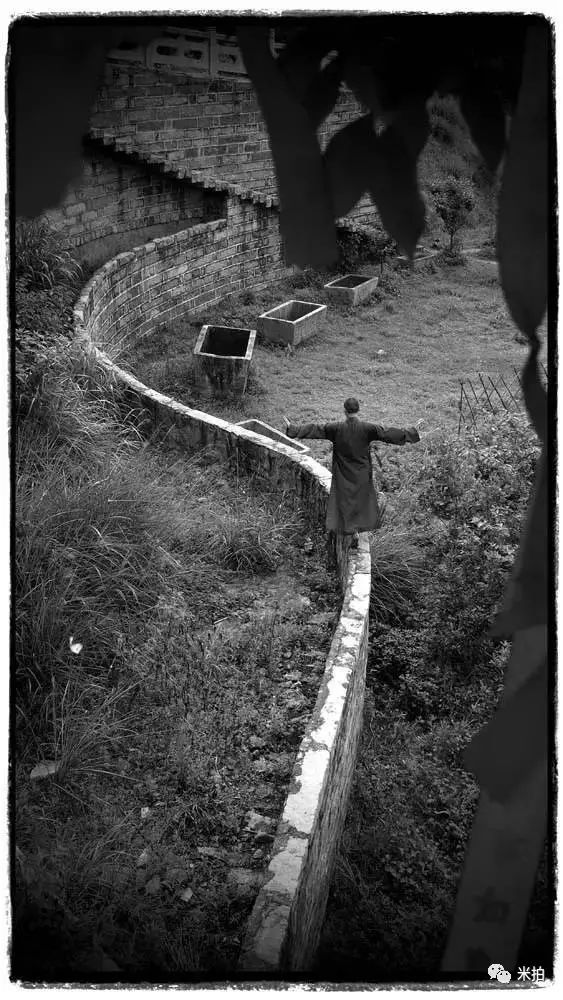 云南奇葩,云南奇葩视频