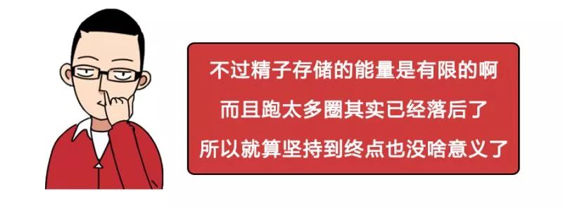 一直以为自己是跑得最快的那颗精子，原来并不是……