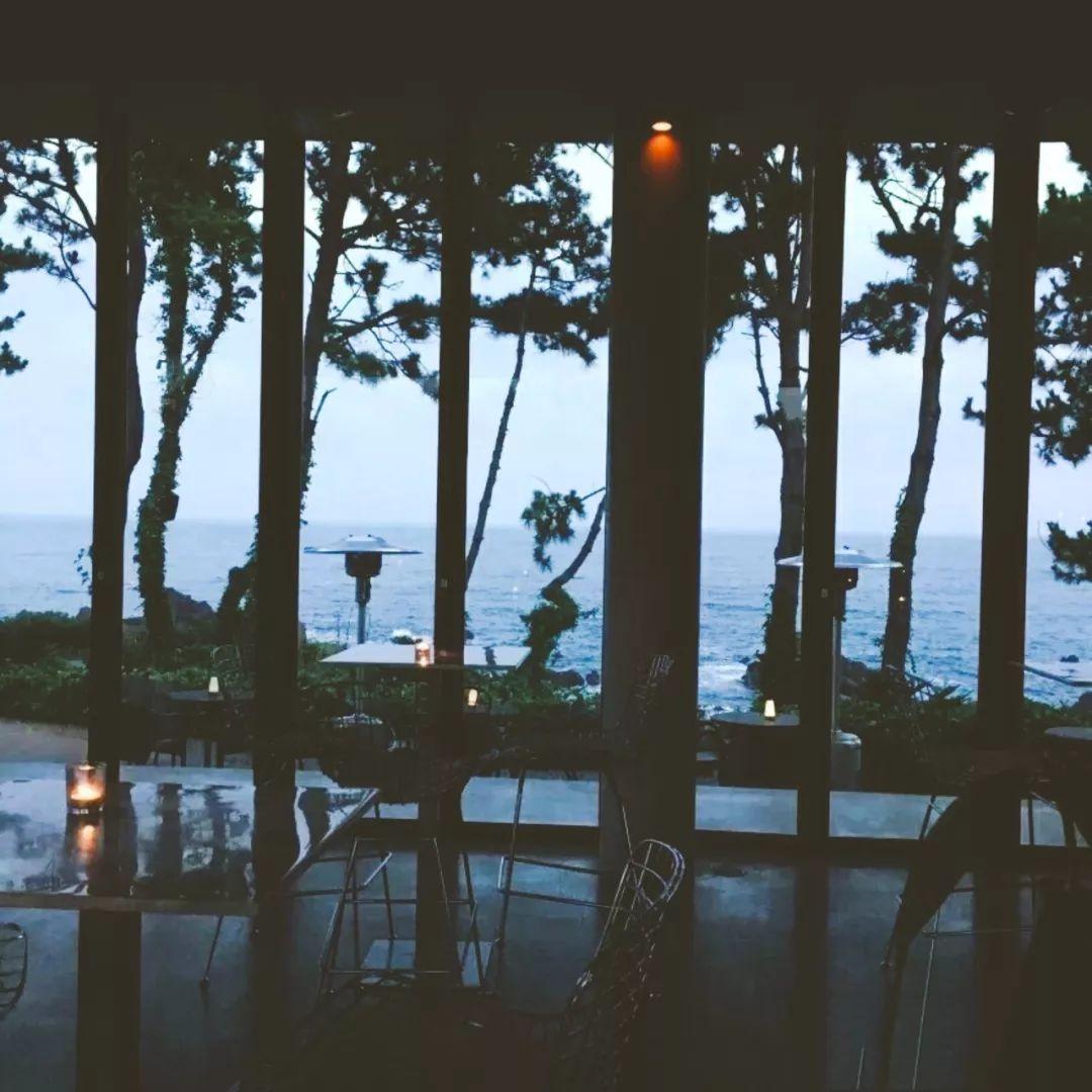 济州岛出游攻略视频大全,济州岛旅行避坑攻略最新