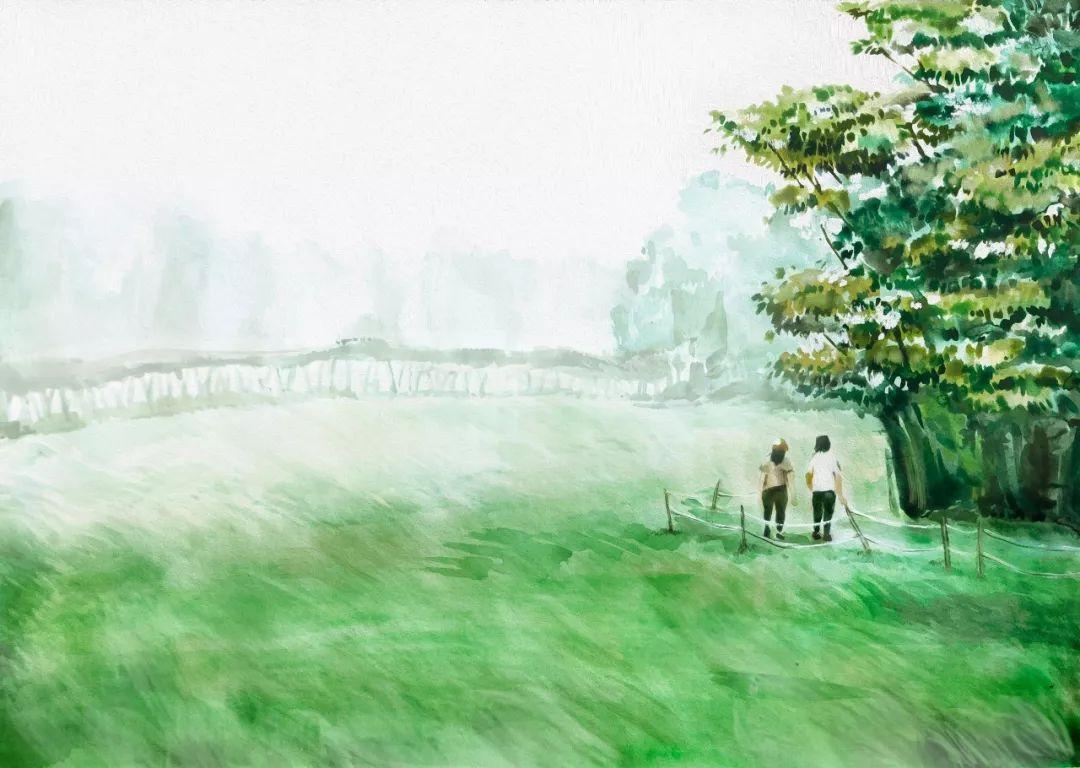 济州岛离岛游玩攻略,济州岛自驾游vlog攻略