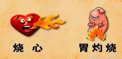 老年人遇到“消化不良”怎么办？找病因、减轻症状，胃口好才健康