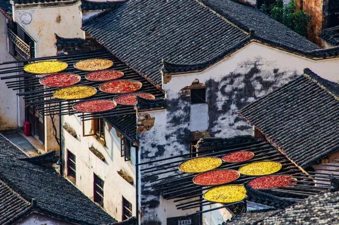 立秋暑去凉来一叶知秋,立秋暑气渐敛一叶知秋