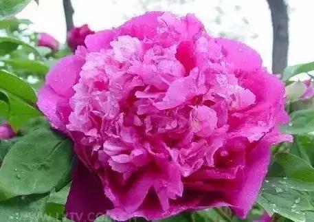 8.8发财日的祝福,8月18日发财日早安祝福图片