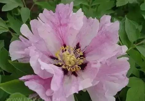 8.8发财日的祝福,8月18日发财日早安祝福图片