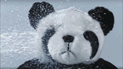 河南郑州女子意外怀孕,河南郑州女子怀孕