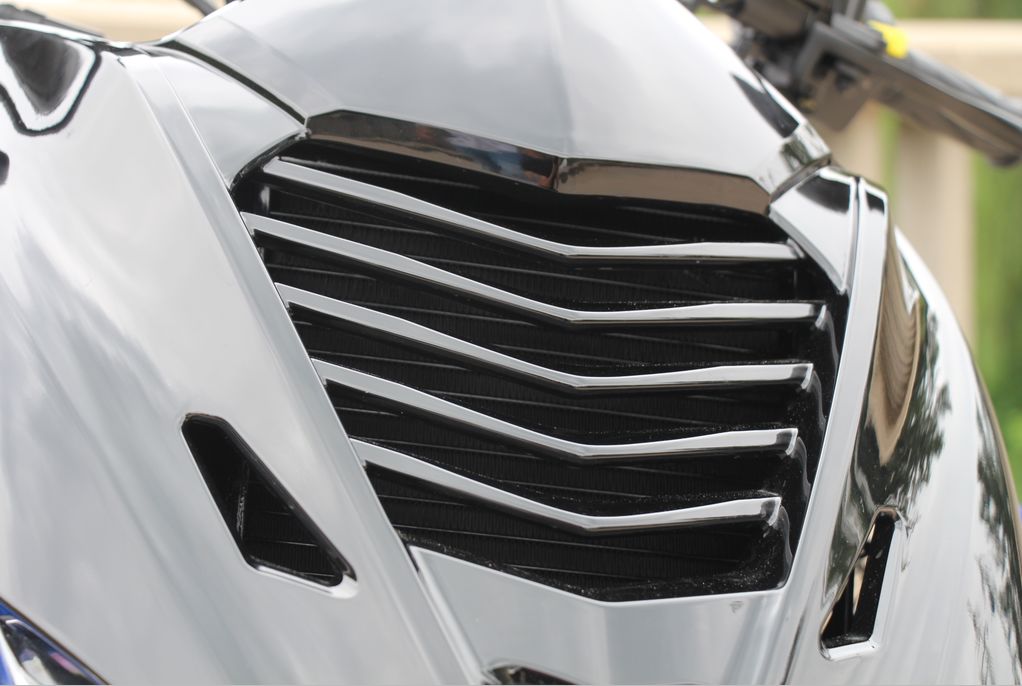 高颜值蚂蚱,漂亮巨型蚂蚱