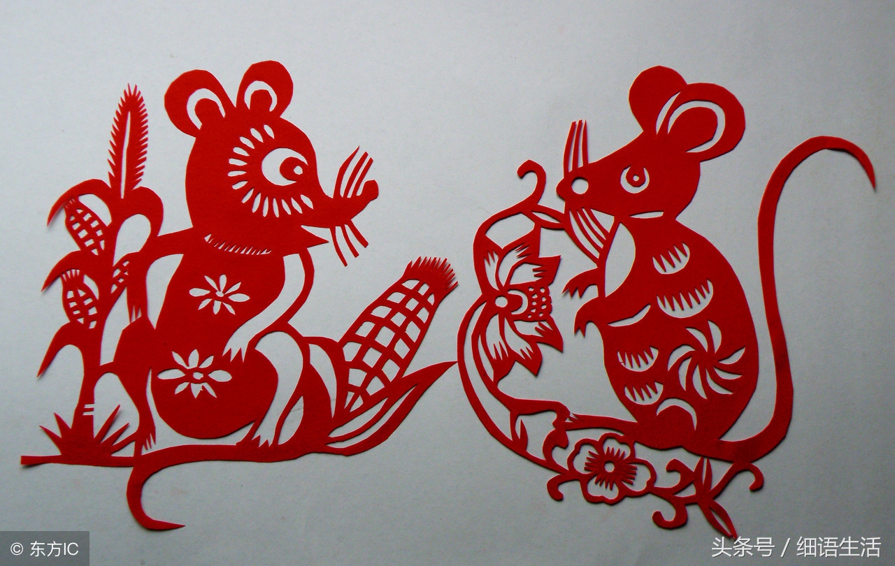 属猴的最佳婚配对象属鼠,96年属鼠男婚配最佳对象