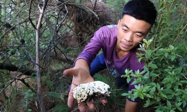 早fun｜在昆明，娃娃买烟酒太容易！超九成学校周边有烟酒卖！