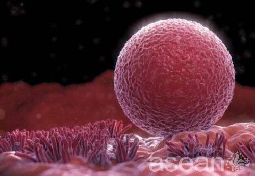 高龄备孕二胎该如何调养效果最好,备孕二胎一直没成功