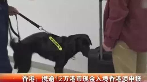 香港代购最新通知,香港最新代购政策