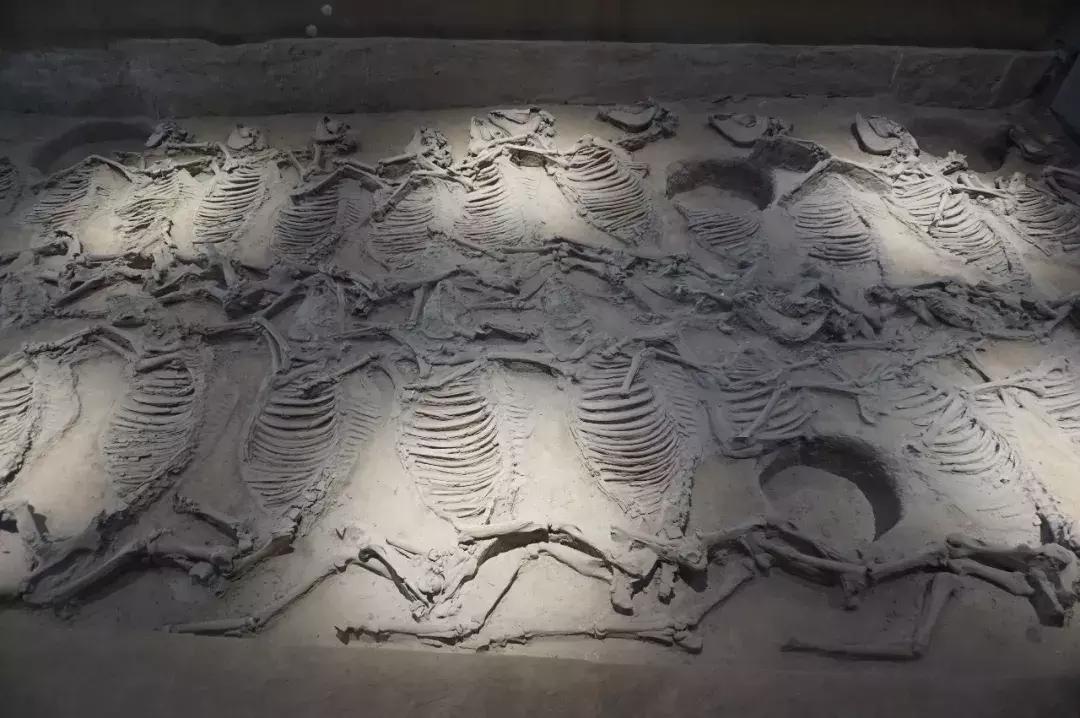 淄博齐文化发源地,淄博齐文化历史介绍