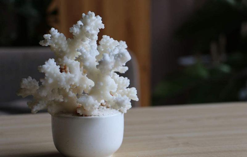 家里装了净水器有必要装前置吗,家里有没有必要安装净水器