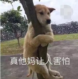 公园里常见的健身器材,被遗忘的健身器材