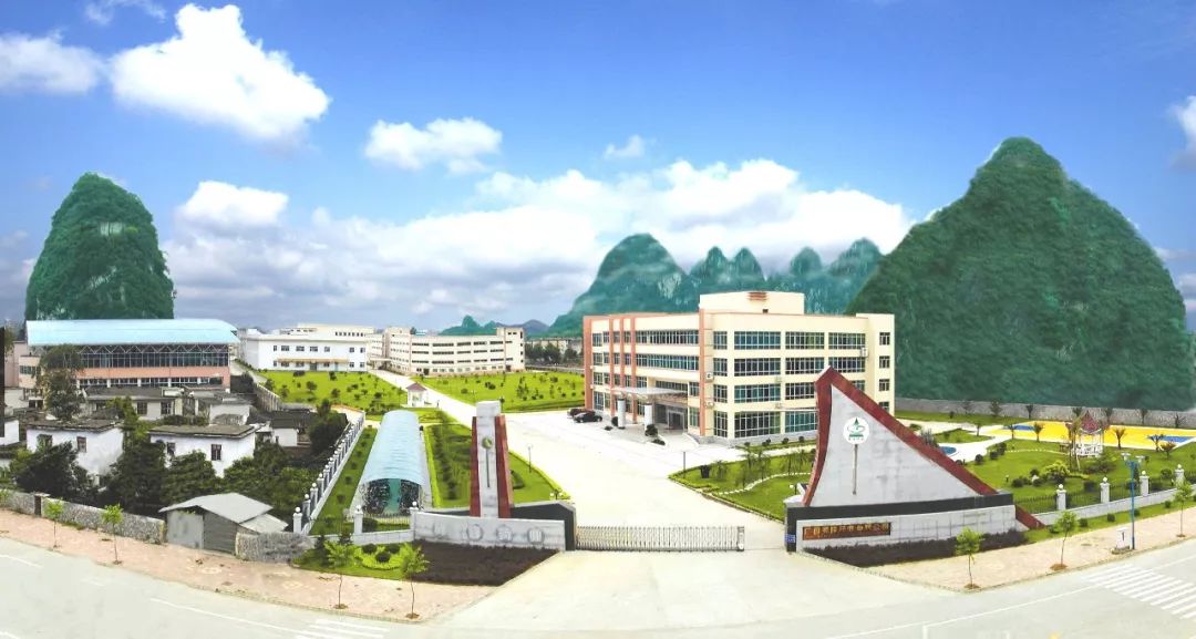 广西灵峰药业有限公司风湿药酒,广西灵峰药业有限公司怎么样