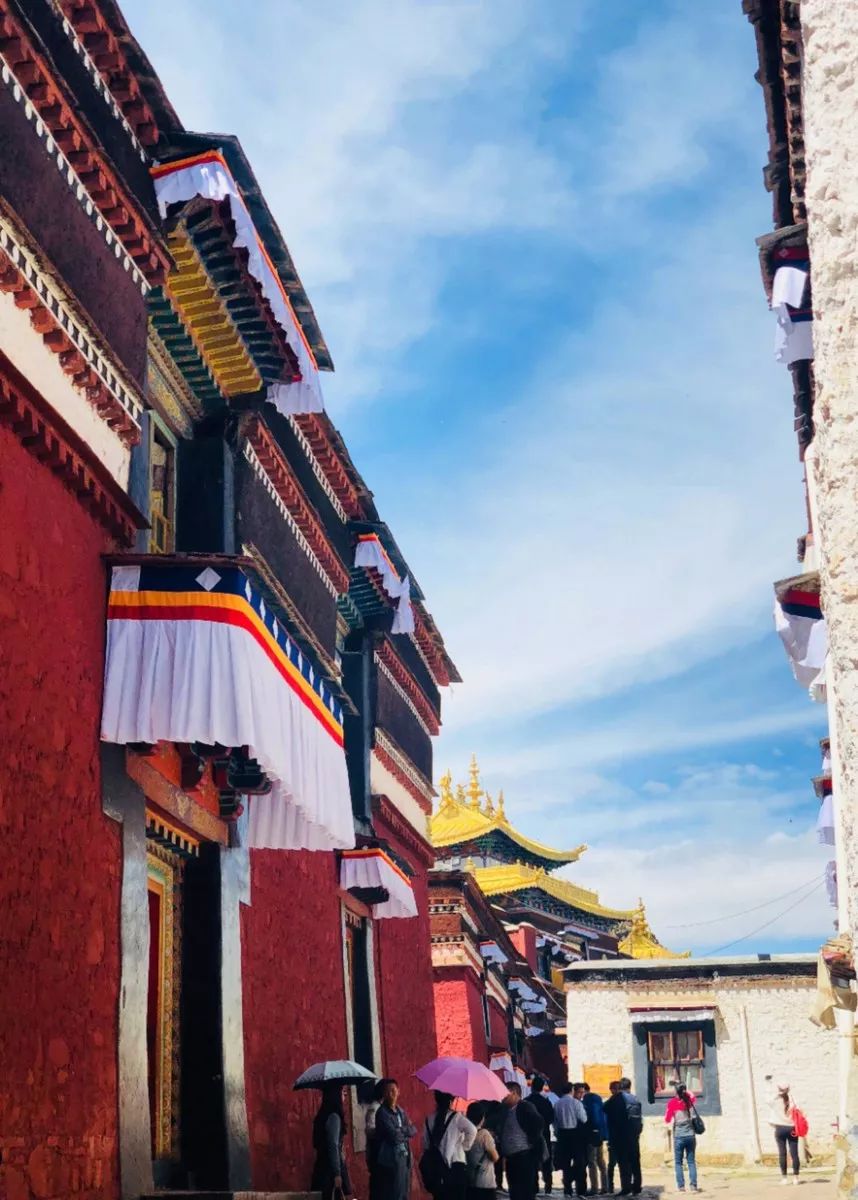 第一次去西藏需要走青藏线吗,第一次去西藏选环线还是阿里