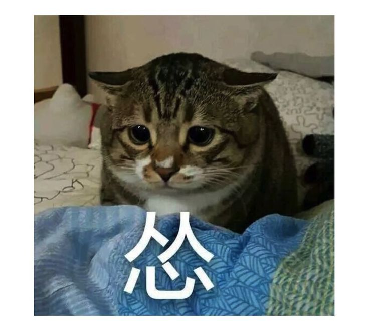 空调怎么用最省电掌握七个小技巧,空调怎么使用省电又实用