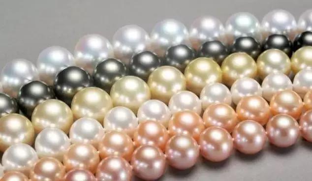 珍珠基础问答,小火说电影全集