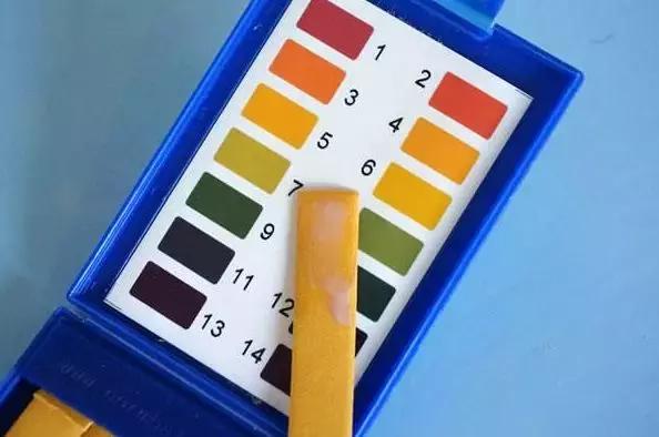 珍珠基础问答,小火说电影全集