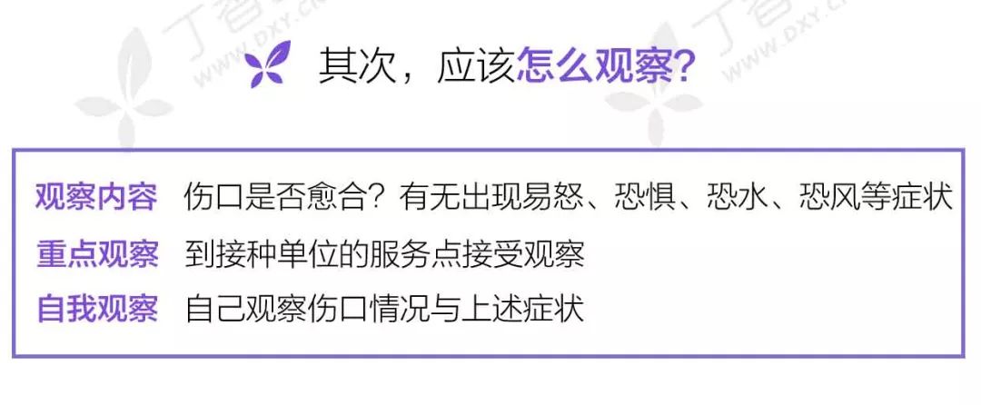 深圳市中医院打狂犬疫苗,深圳疫苗接种恢复了吗