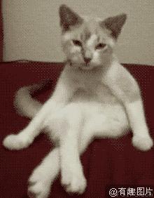 跷二郎腿有什么危害腿粗,跷二郎腿有什么危害图片