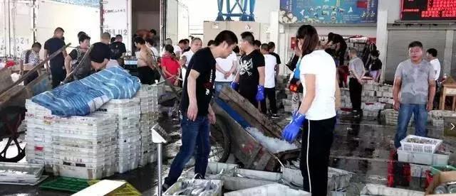 开渔，台州海鲜卖白菜价