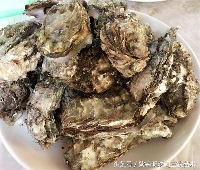 辽宁农家乐旅游攻略,辽宁农家度假村