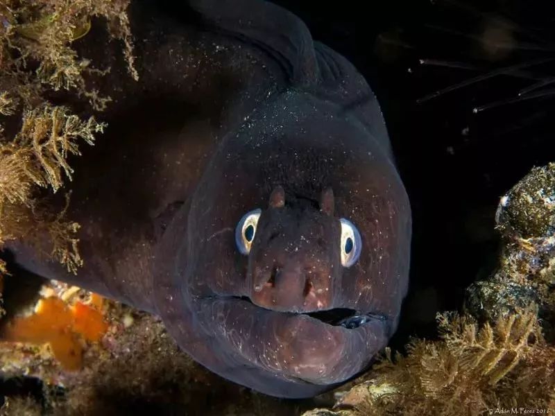 9个技巧，让你轻松搞定夜潜