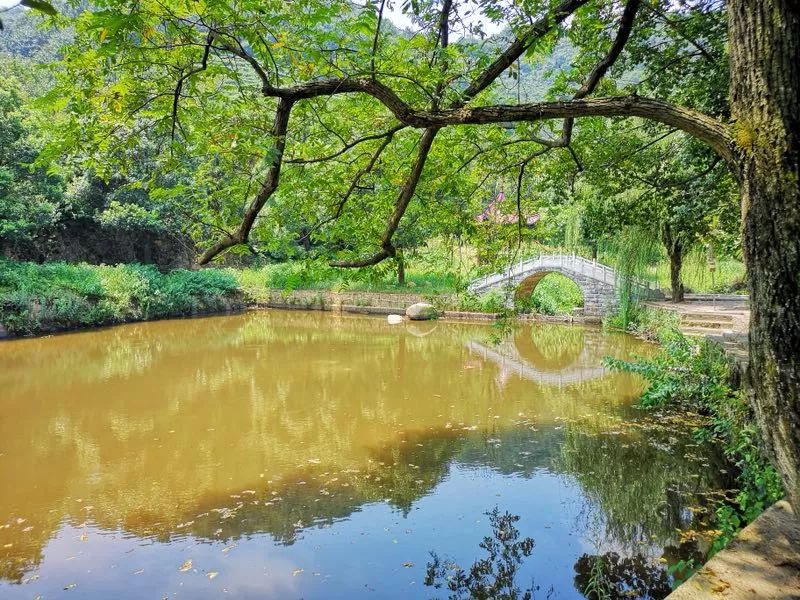 生态修坟，黄梅戏故乡的殡改有办法｜长江日记