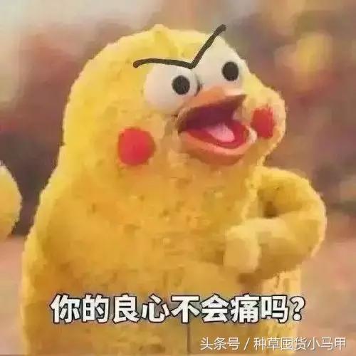 海淘商品是真的假的,海淘假货怎么避免