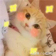 冷少直播夸大舅子,冷少和大舅子是什么梗