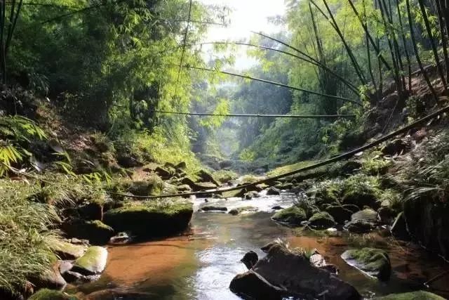 德阳周边玩水避暑民宿,德阳附近哪里有凉快又好玩的地方