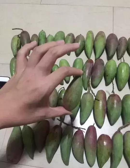 拼多多黄峥对拼多多未来看法,黄峥说拼多多低价不等于低质