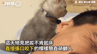 你享受过免费叫醒服务吗,你享受过免费的叫醒服务吗